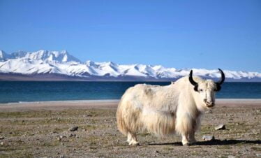 Namtso Lake and Mt. Everest Trip