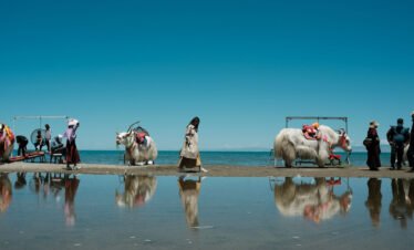 Qinghai lake day trip