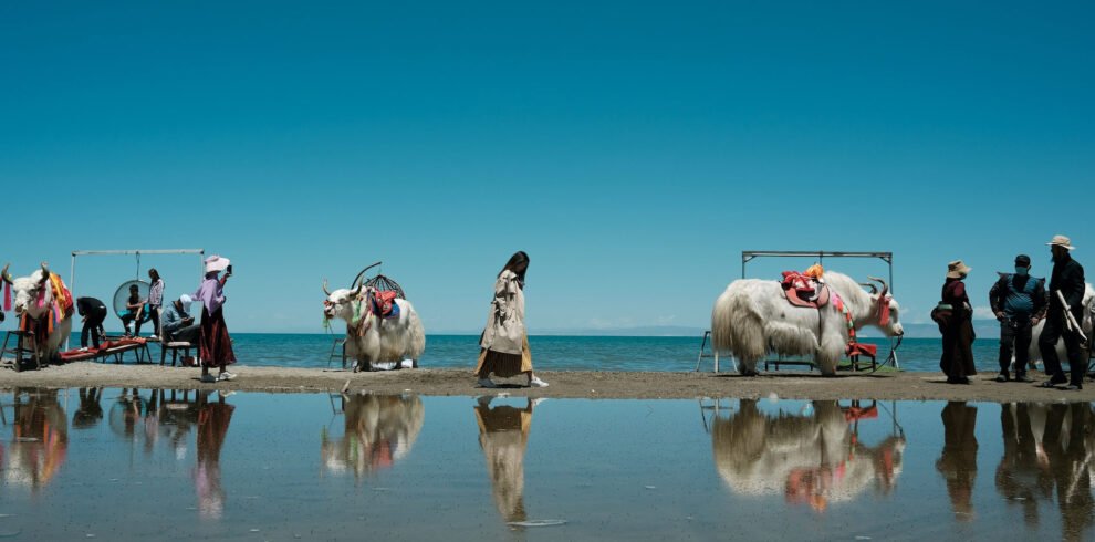 Qinghai lake day trip