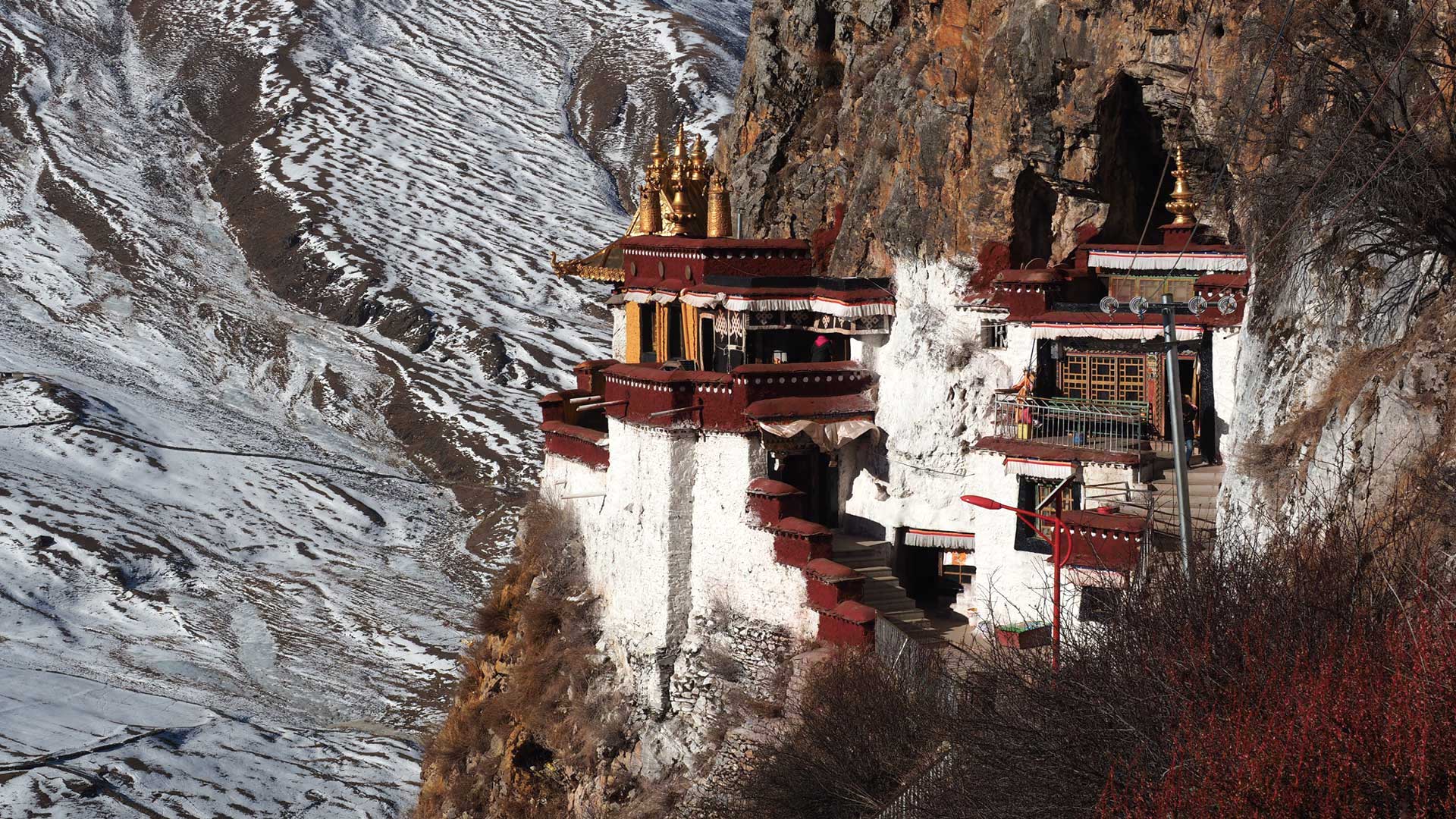 Tibet Mediation Tour