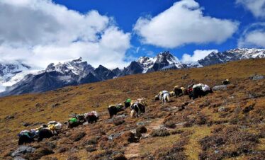 Tingri to EBC Trek